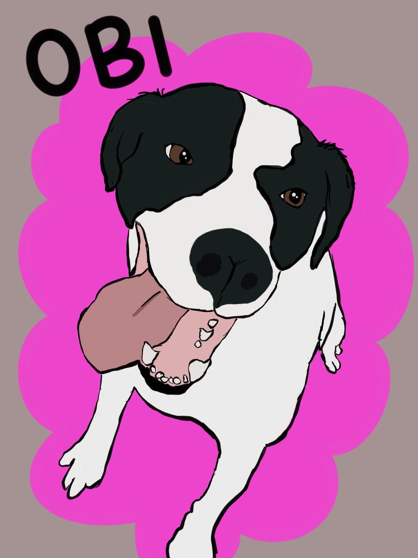 Cartoon pet portraits
